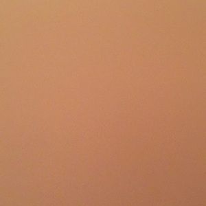 Meet your Posher, Sandy